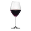 Santé Bordeaux Wine Glass 21oz / 595ml - 6pk