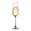 Hip Champagne Glass 9.25oz / 270 ml - 6pk