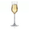 Grappa Tulip Glass 6pk